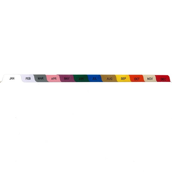 First Healthcare Products Divider Sets - Divider Set, Months, Side Opening, 12 Tab - M2570