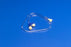 Cardinal Health Extension Sets - Extension Tube with Male and Female Luer Slip, 30" - 155923
