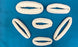 Tarry Medical Infant Care Donuts - DONUT, SMALL, 900-1300G, SINGLE USE - T 701 SM