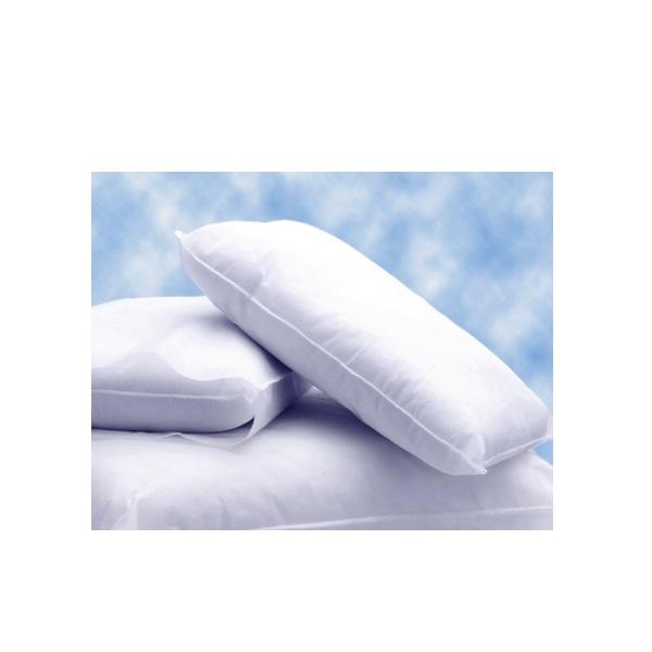 Pillow Factoy Cloudnine Pillows - Personal Pillow, Disposable, 19" x 24" - 51107-553/24