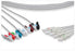 Leads