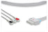 Leads