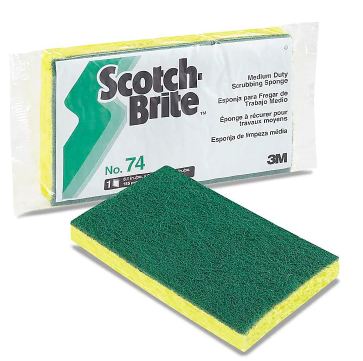 Scrubbing Sponge, #74