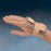 Wrist Support