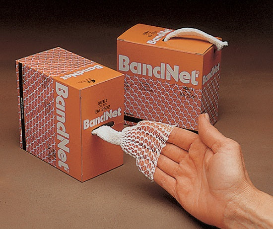 BandNet