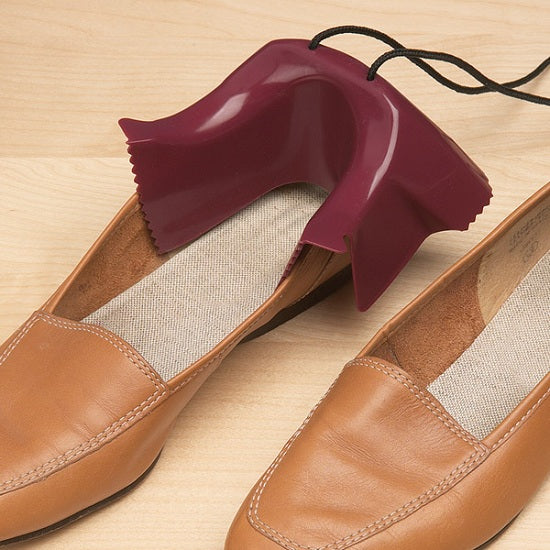 Shoe Assist