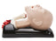 Eve AirsimCombo Bronchi Airway Manikin - AirSim Combination Manikin, Advanced - TRUCTC95100