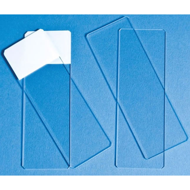 Cardinal Health Economy Select Frosted Microscope Slides - 1 mm Economy Select One End / Both Sides Frosted Microscope Slides - M6147-ECO