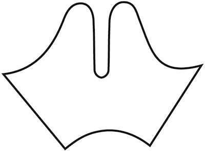 Thumb Splint