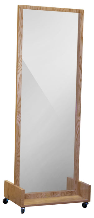 Dynatronics Posture Mirros - MIRROR, REPLACEMENT - AA MIRROR 23X67