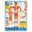 Wolters Kluwer Health  Chart Anatomical Blueprint for Health Your Muscles 20x26" EA