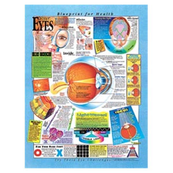 Wolters Kluwer Health  Chart Anatomical Blueprint for Health Your Eyes 20x26" EA