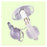 Puritan Bennett  Tube Tracheostomy Shiley White Adult Size 4 Cuffed Ea