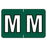 IFS Filing Systems  Sycom Compatible "M" Label ET1.5"x1" 225/Pk