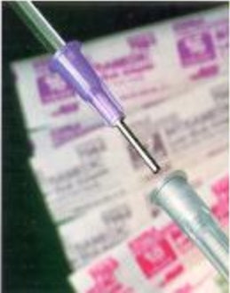 BD BD Catheter Tip Luer Slip Needles - Luer Stub Adaptor for Catheter with 16 G x 1/2", Sterile - 427561