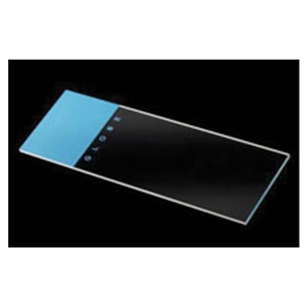 Globe Scientific  Microscope Slide 25x75mm Blue With Uniform Surface 20Bx/Ca