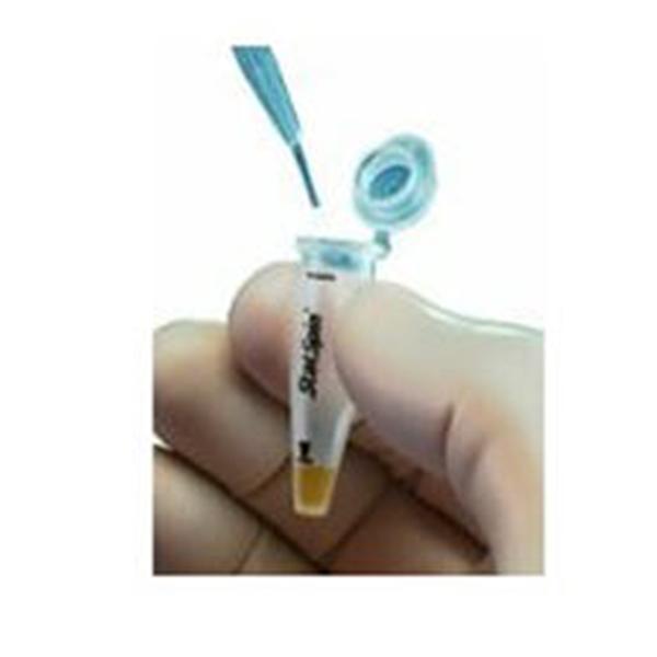 Fisher Scientific  StatSpin Test Tube 1.5mL Conical 50/PK