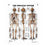 Nasco Company Chart Set Anatomical Systems 20x26" Ea