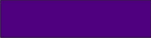 Centurion Centurion Nursing Chart Labels - Purple 1" x 500" Blank Nursing Chart Label - 527Z1