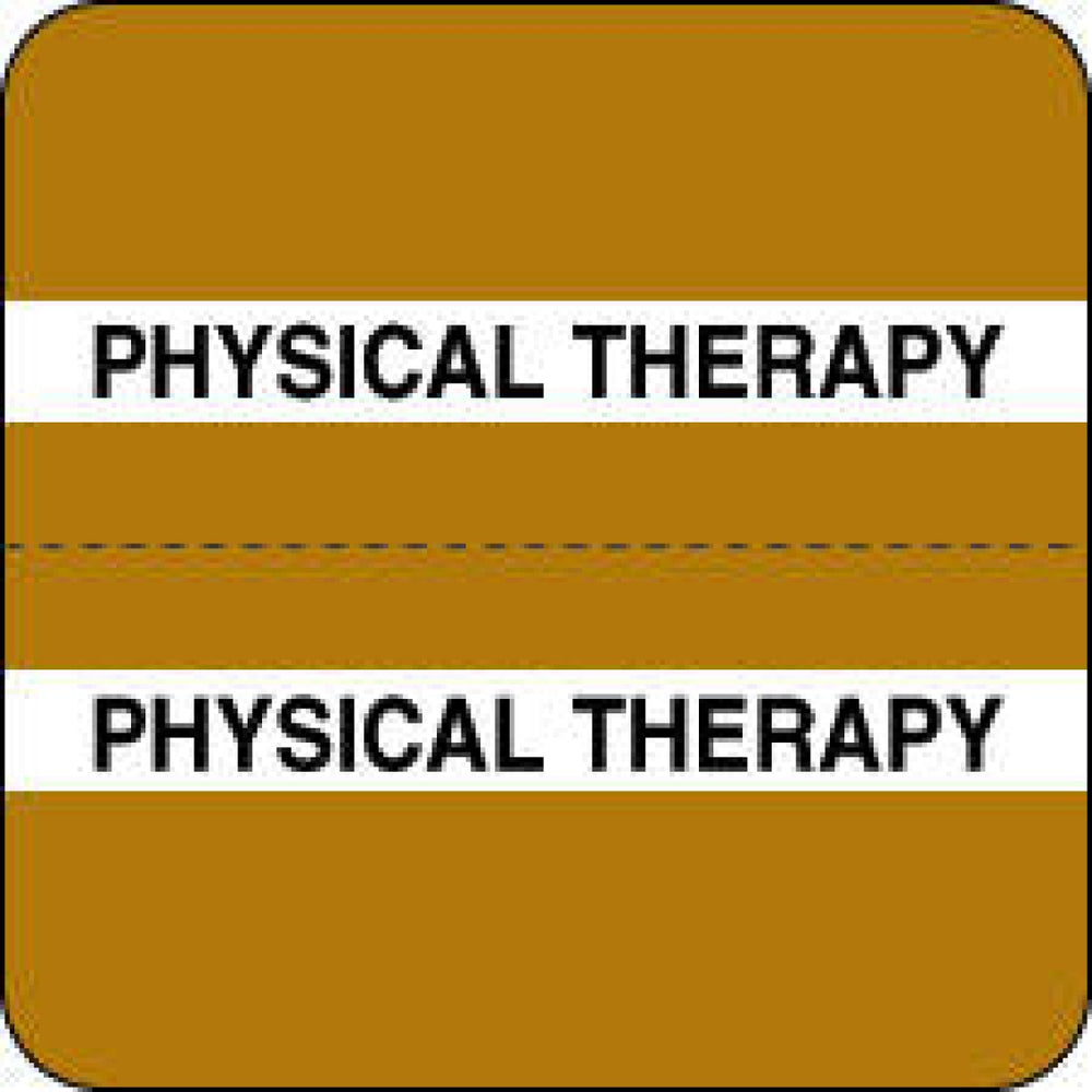 Chart Tab Paper Physical Therapy 1 1/2" X 1 1/2" Brown 100 Per Roll