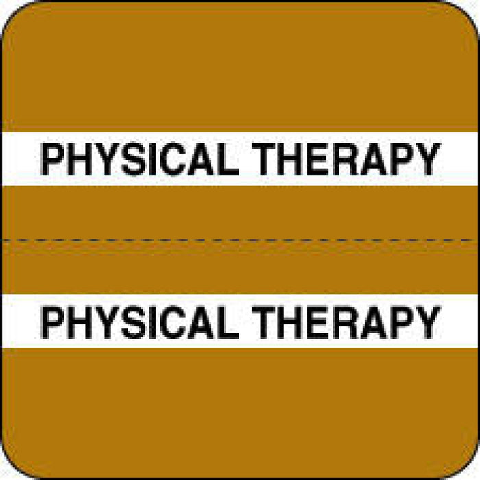 Chart Tab Paper Physical Therapy 1 1/2" X 1 1/2" Brown 100 Per Roll