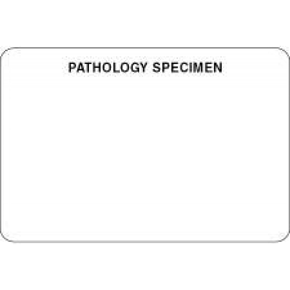 Lab Communication Label (Paper, Permanent) Pathology Specimen 3" X 2" — Grayline Medical