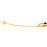 Foley Catheter