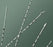 CR Bard Polyurethane Ureteral Catheter - CATHETER, URETERAL, WHISTLE TIP, 8FR, MSPV - BA- 138008