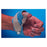 Chesapeake Medical Material Splinting Colours Hand Light Blue 18x24" 1/8" Thick Ea (CM266-1)