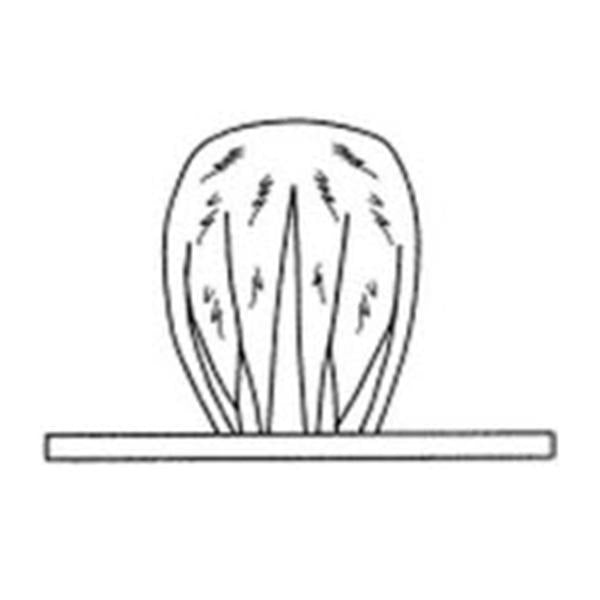 Advanced Medical Designs Light Handle Kover 50/Ca — Grayline Medical