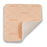 Dukal oration Dressing Silfix Lite Foam 4x4" Adherent 10/Bx