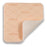 Dukal oration Dressing Wound Advazorb Border Hydrphlc Fm 4x12" SlfAdh Abs 10/Bx