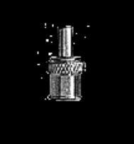 BD Male Luer-Lock Caps - Male Luer Lock Caps, Nonsterile - 408540