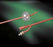 CR Bard 2-Way Standard Specialty Foley Catheters - CATHETER, BALLOON, 24FR, 2 WAY, 5ML - BA- 0102L-24