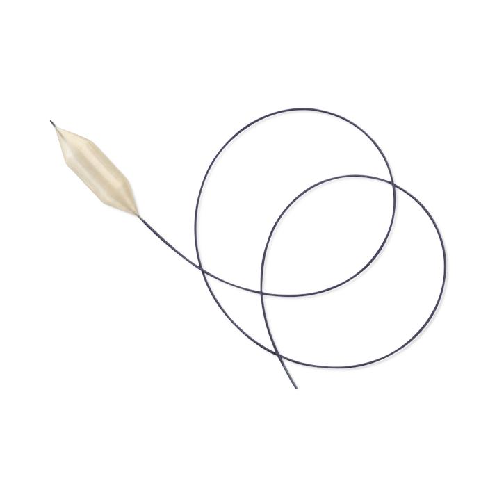 CR Bard Atlas PTA Balloon Dilatation Catheters - Atlas PTA Balloon Dilatation Catheter, 18 mm x 20 mm Balloon, 75 cm Shaft, 8 Fr Sheath - AT75182