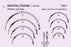 Martin Uterine Suture Needles