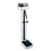 Detecto Scales Scale Physician 400Lb Ea