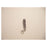 Chanby Clipper Fingernail 2" Ea, 60 EA/PK (3073BULK)