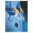 O & M Halyard Drape Gyn/Urology 3x6" Fenestrated 112x63x131" Sterile 10/Ca