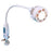 Burton Medical Prod  Bulb Gleamer 35watt Set OF 4 4/Ca 4/Ca