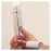 SDI Diagnostics Mouthpiece Spirometer Riko 100/Bx, 5 BX/CA (29-7000)