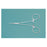 Miltex-Integra Miltex Forcep Hemostatic Halsted Mosquito 5" Serrated Straight SS Ea