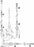 ICU Medical Transpac IV Monitoring Kits - Transpac IV Monitoring Kit, Trifurcated, Square Flush - 425900405