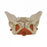 American 3B Scientific Female Pelvis Model - Educational Musculature Pelvic Model, Female with Floor - 1019420