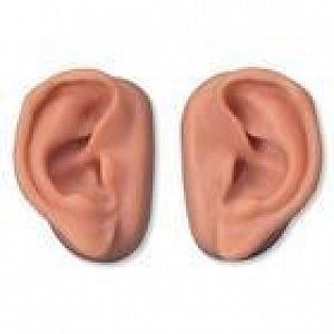 American 3B Acupuncture Ears, Set for 10 Students - Acupuncture Ears for Educational Purposes, Set of 10 - N16
