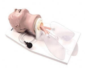 American 3B Scientific Life / form Airway Larry Trainer - Educational Airway Management Trainer Model - W44104