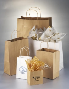 Action Bag Company Natural Kraft Paper Shopping Bags - Kraft Paper Shopping Bag with Handles, 16" x 6" x 12" - R1606012B