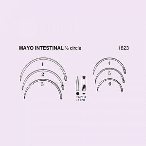 Anchor Products Mayo Catgut Surgical Needle - Mayo Catgut 1/2 Circle Intestinal Needle, Straight, Taper Point, Size 5 - 1823-5DG