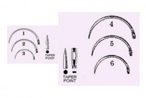 Anchor Products Mayo Catgut Suture Needles - Mayo Catgut Needle, 1/2 Circle, Taper Point - 1824-5DC