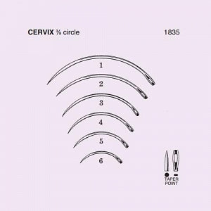 Anchor Products Cervix Needles - Cervix Needle, 3/8 Circle, Taper-Point, Disposable Carton, Size 6 - 1835-6DC